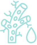 Custom icon
